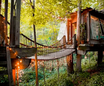 This stunning treehouse is the most wished-for Airbnb listing in the world