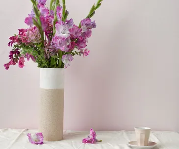 All about March’s flower of the month: Gladioli