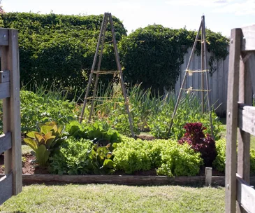 Your March gardening to-do list