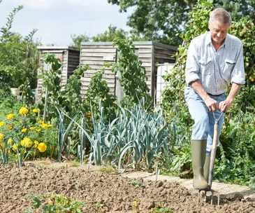 What to harvest, plant and sow in the month of April