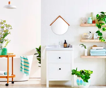 How to use indoor plants to freshen up your bathroom