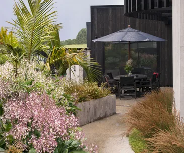 A new-build uses native planting to blend into its mangrove surroundings