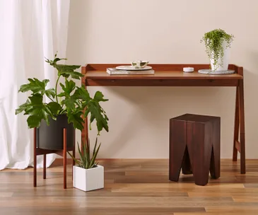 Trend report: Dark wood, indoor plants and light terrazzo accents