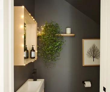 A tiny downstairs bathroom is given a moody makeover