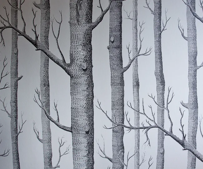 tree wallpaper