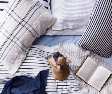 6 of this season’s best bedding trends