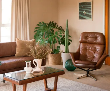 How to care for indoor plants and cacti according to The Botanist