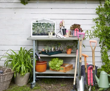 Your beginner’s guide to eco-friendly gardening at home