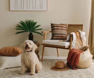 How to style a space inspired by the Californian desert