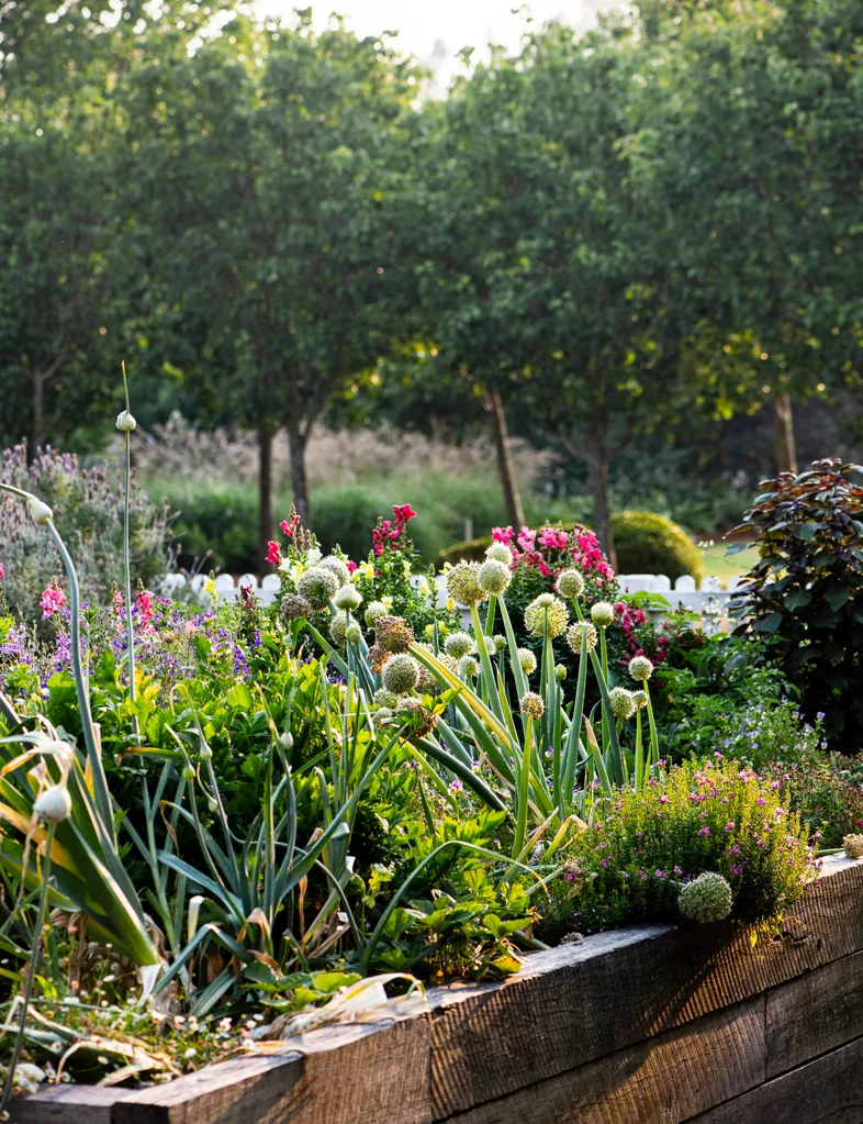 September Gardening Guide
