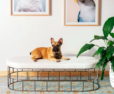 6 entrance ways ideas to help you make a stylish first impression