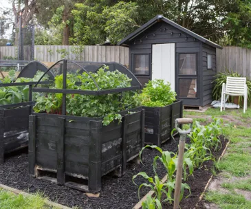 This coastal garden features a raised vegetable patch with impressive style