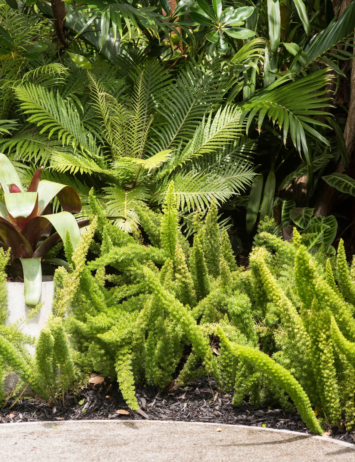 This overgrown Herne Bay garden was transformed into the ultimate oasis