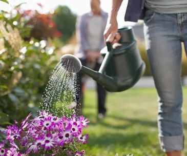 How to make sure your garden survives hot January weather