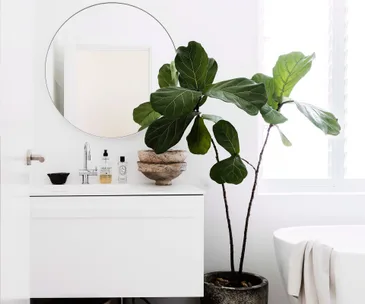 How to organise your ensuite like a pro for Clutter Free Feb
