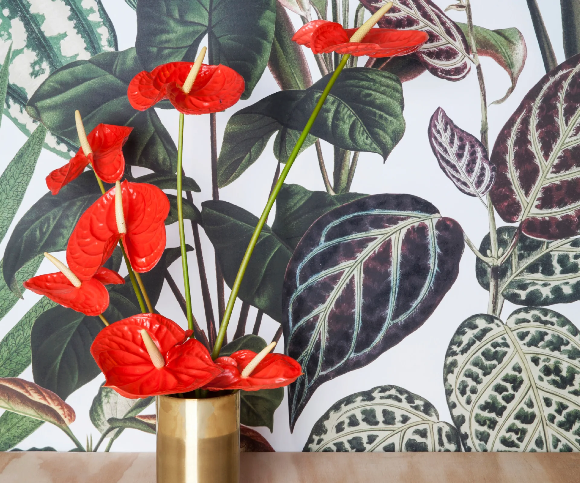 Anthurium: Why you need these exotic flowers in your next arrangement
