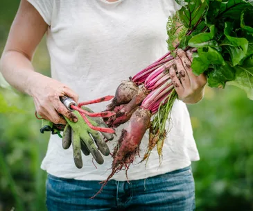 Weekend Gardening Guide: What to harvest and plant in April