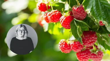 The best vegetables to plant in your garden this May