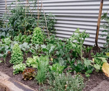 How to keep your garden looking great in November