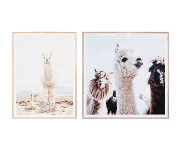 Here’s whats new on the homeware scene and where to find it
