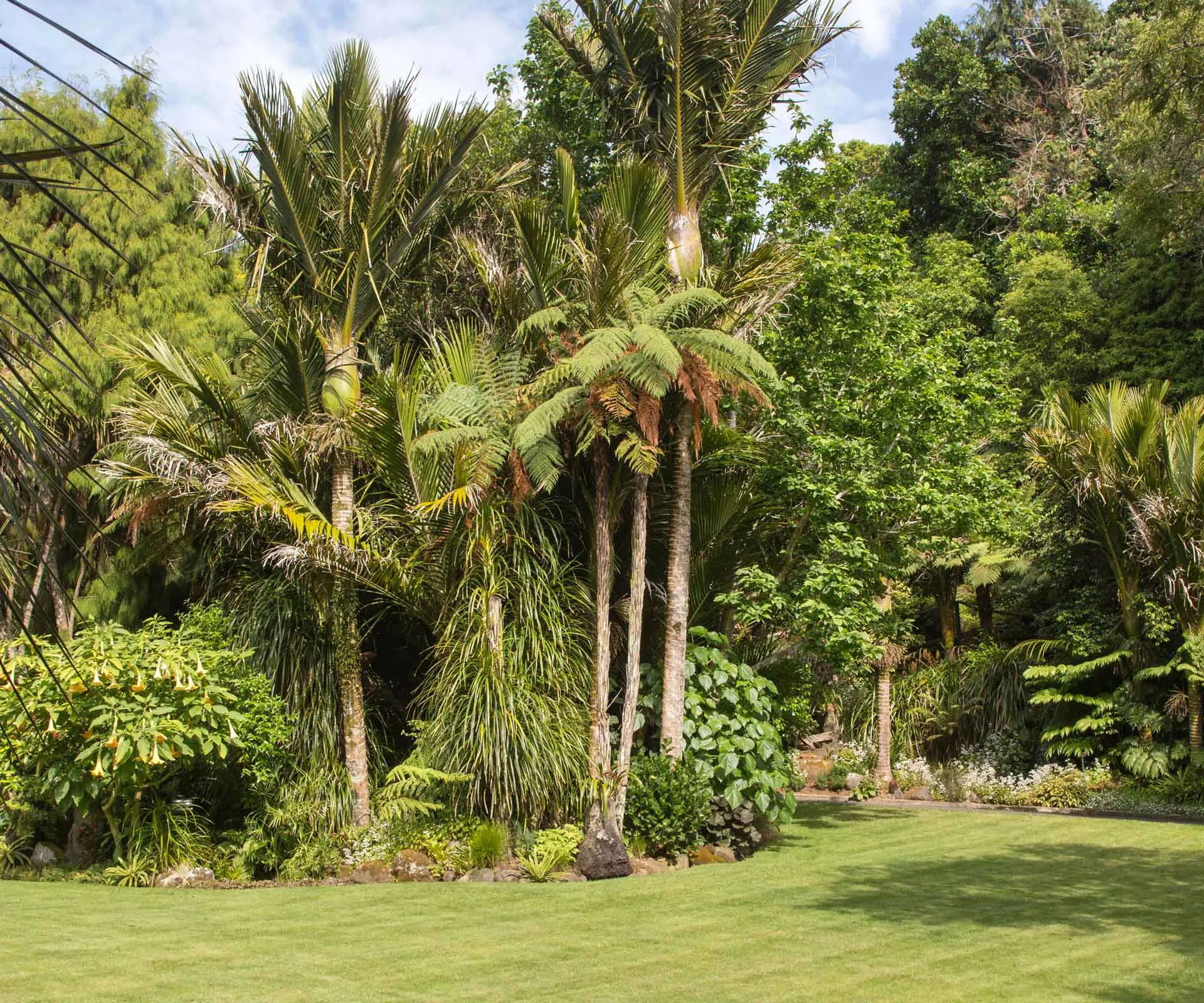 See how this Taranaki garden was transformed into a lush idyll