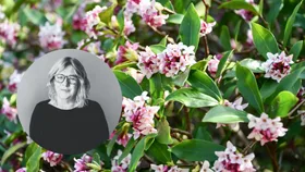 These are the best vegetables to plant in your garden in June