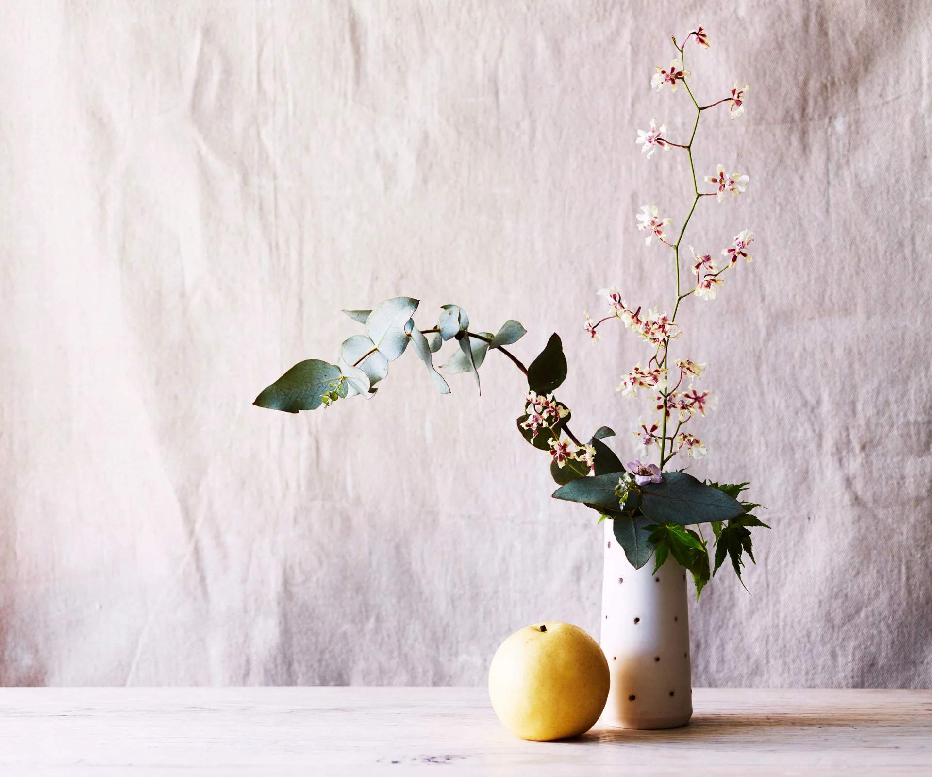 Why eucalyptus should be every budding florist’s best friend