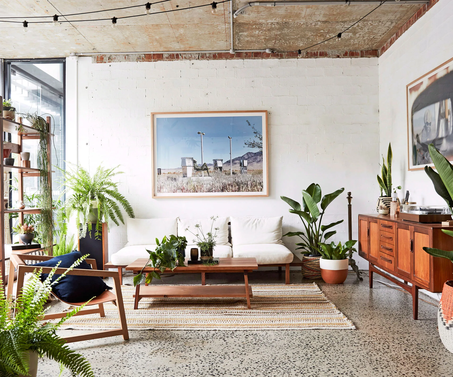 7 tips to ensure your pot plants’ survival