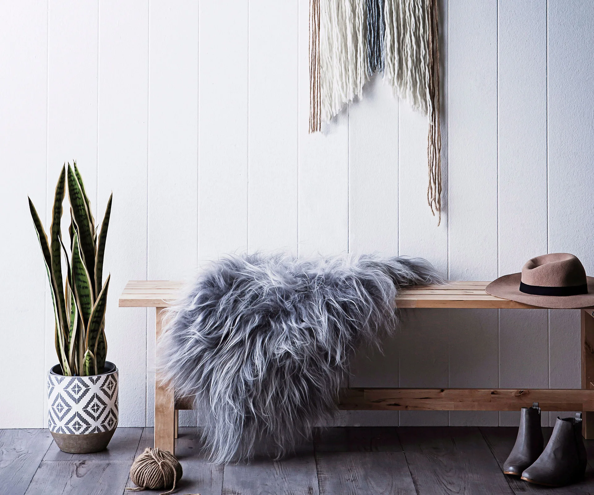 Here’s why snake plant is the spiky greenery your home needs