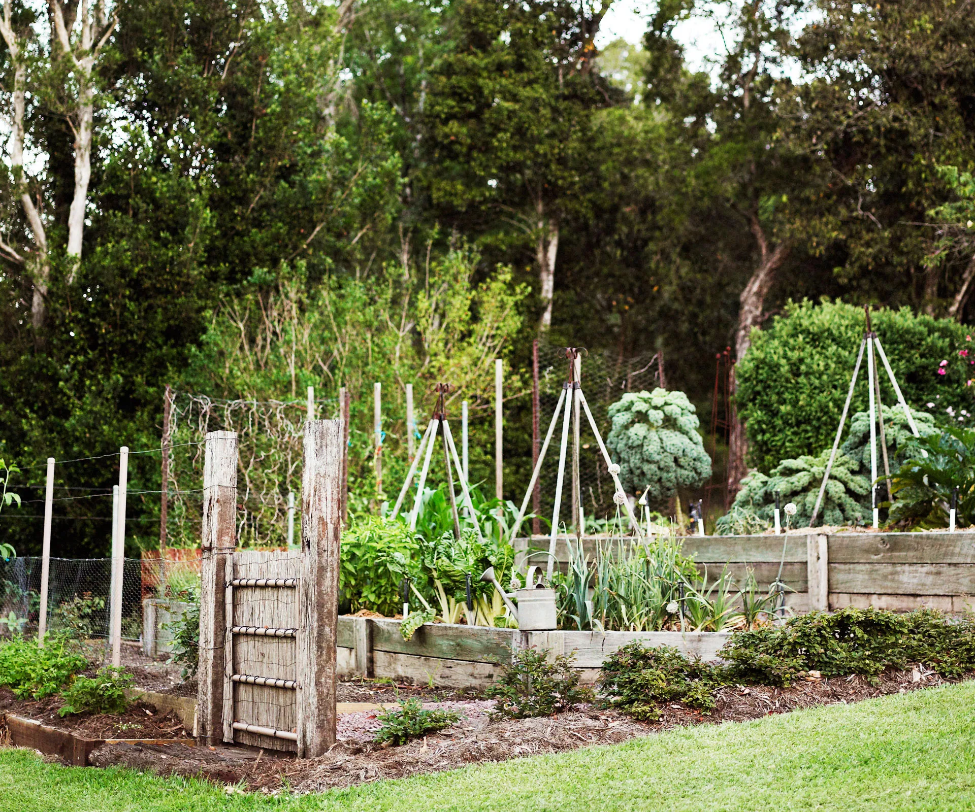 Here are the best vegetables to plant in your garden this September