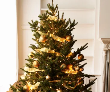 Here are the 3 best ways to hang Christmas tree lights
