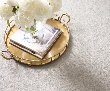 Think light coloured carpet is too risky? This expert has found the solution