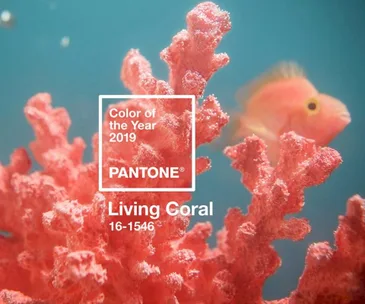 Pantone’s 2019 Colour of the Year will make you want to grab a paintbrush