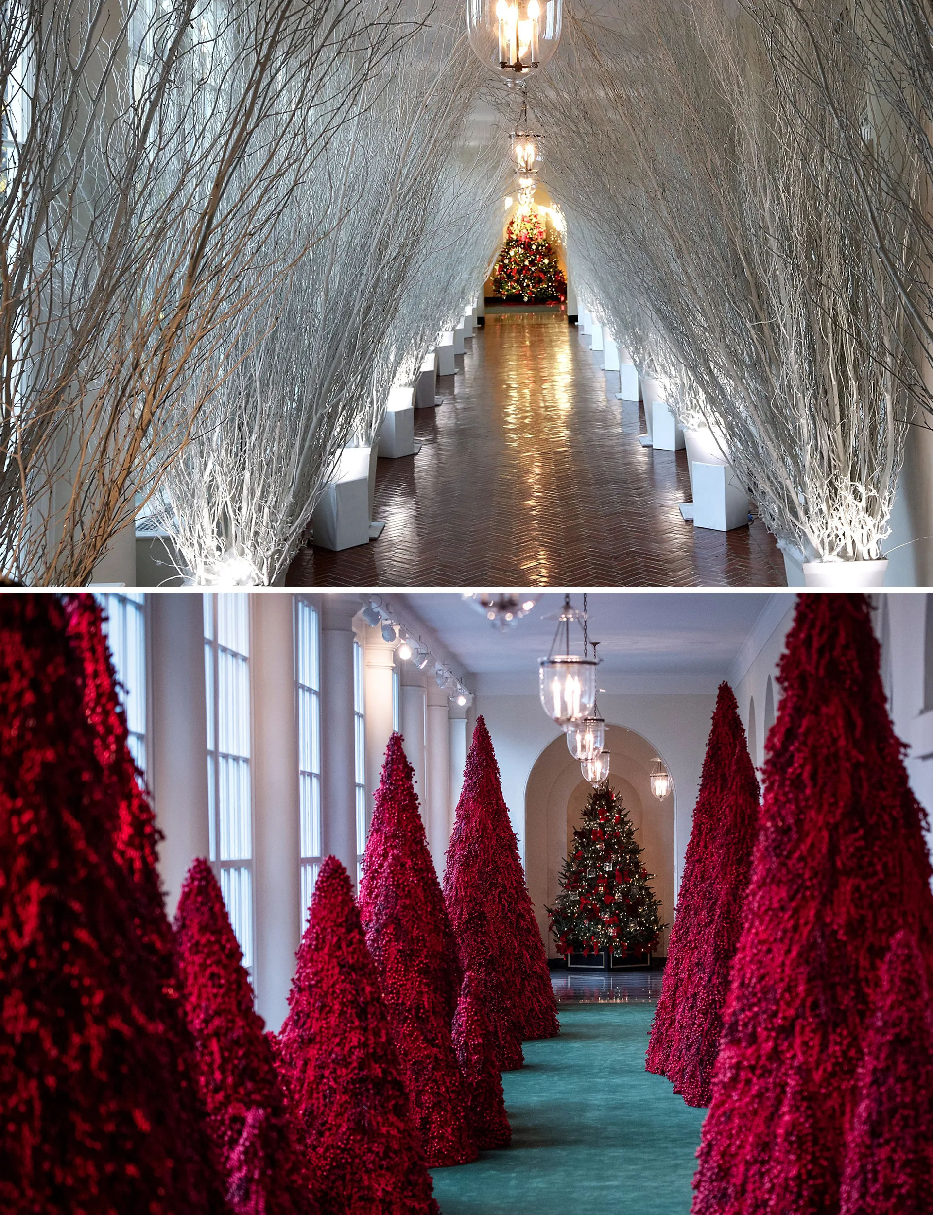 White House Christmas decorations