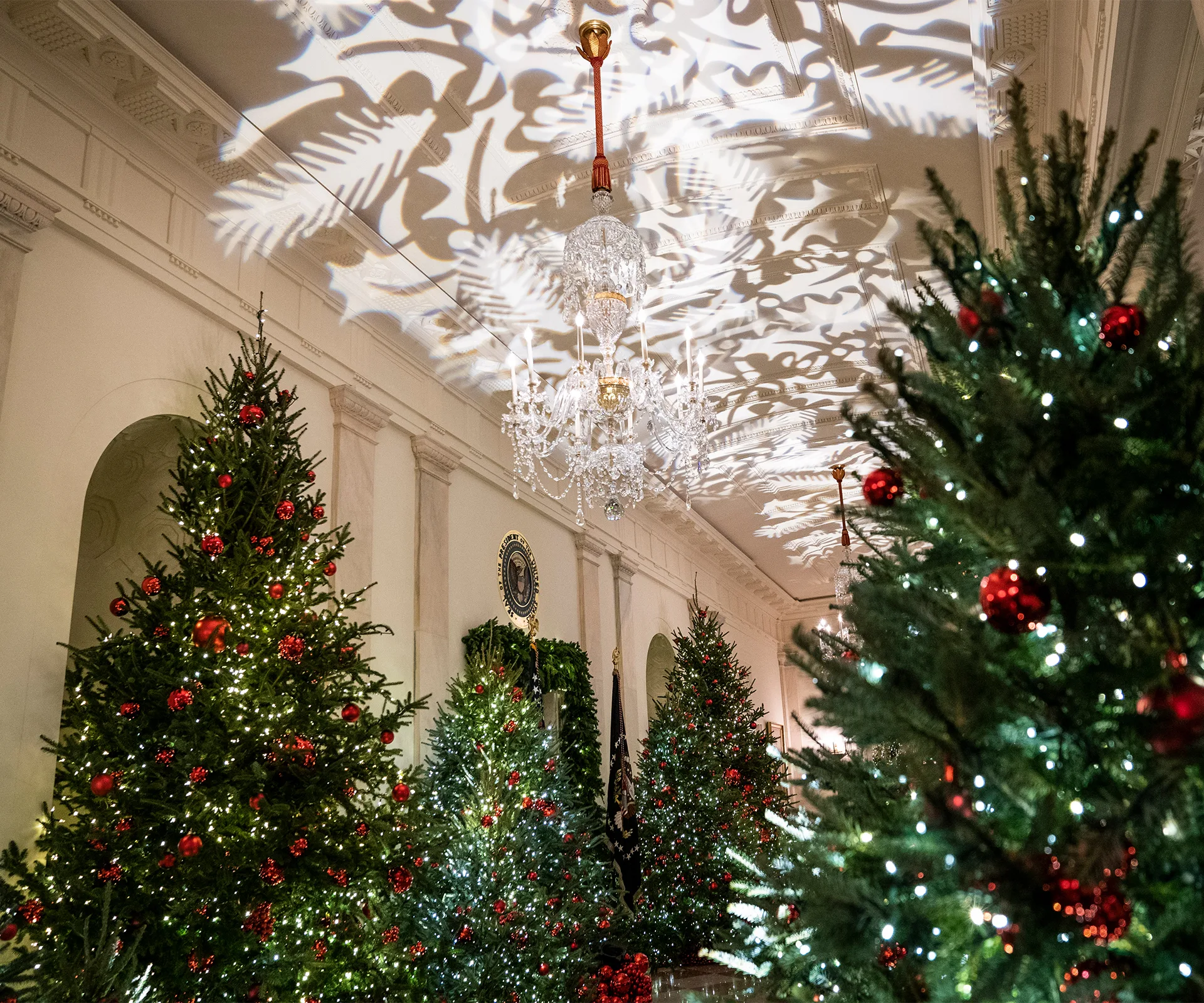 White House Christmas decorations