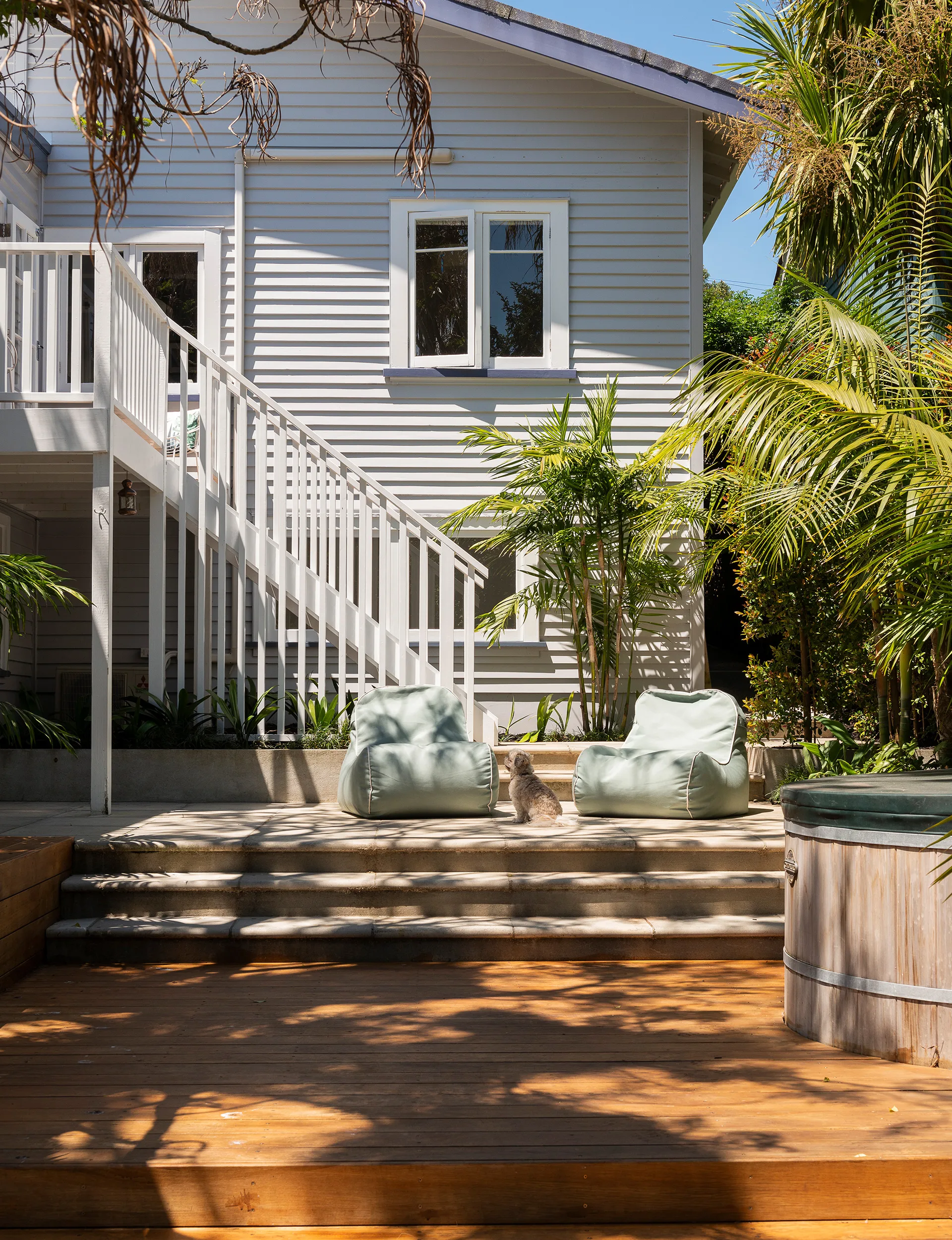 sub-tropical garden