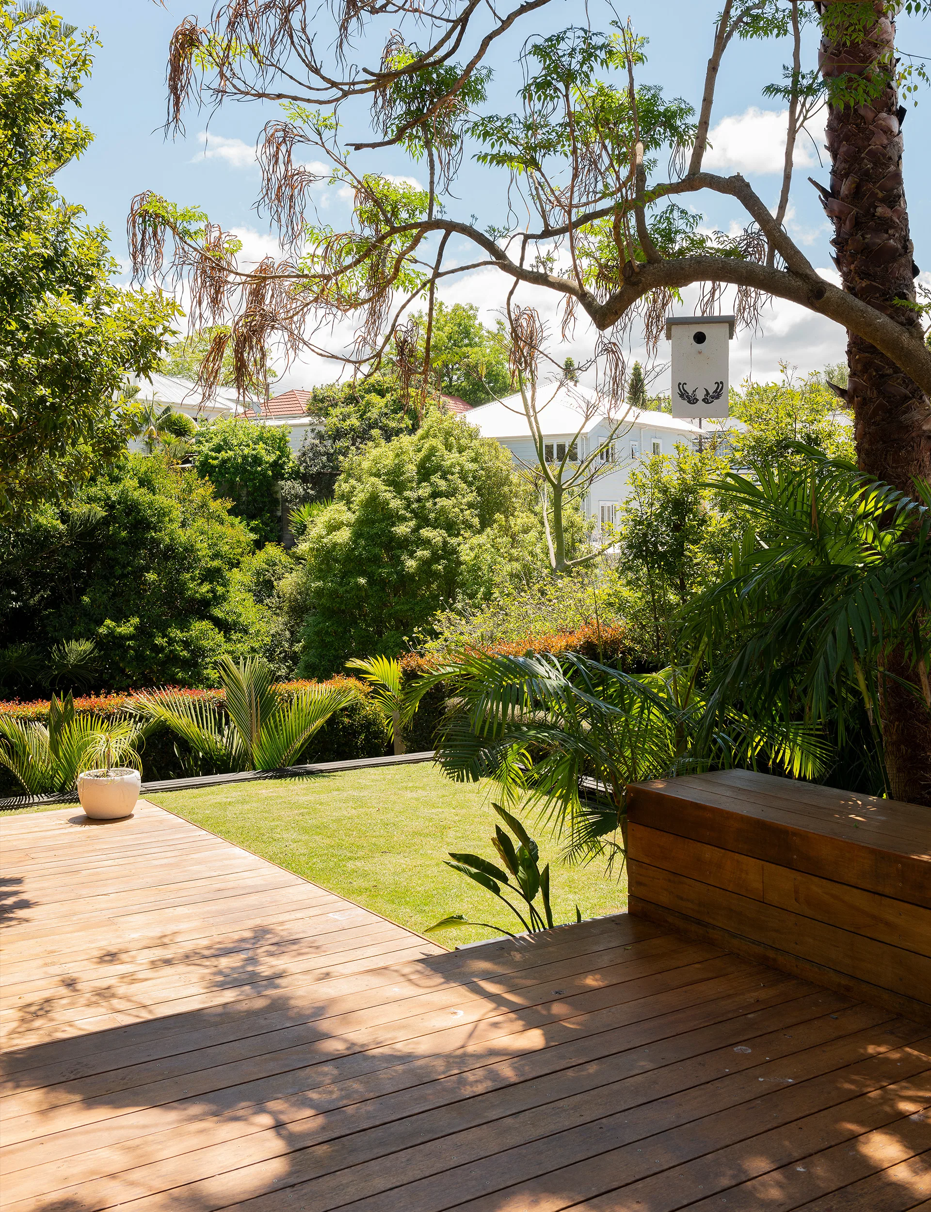 sub-tropical garden