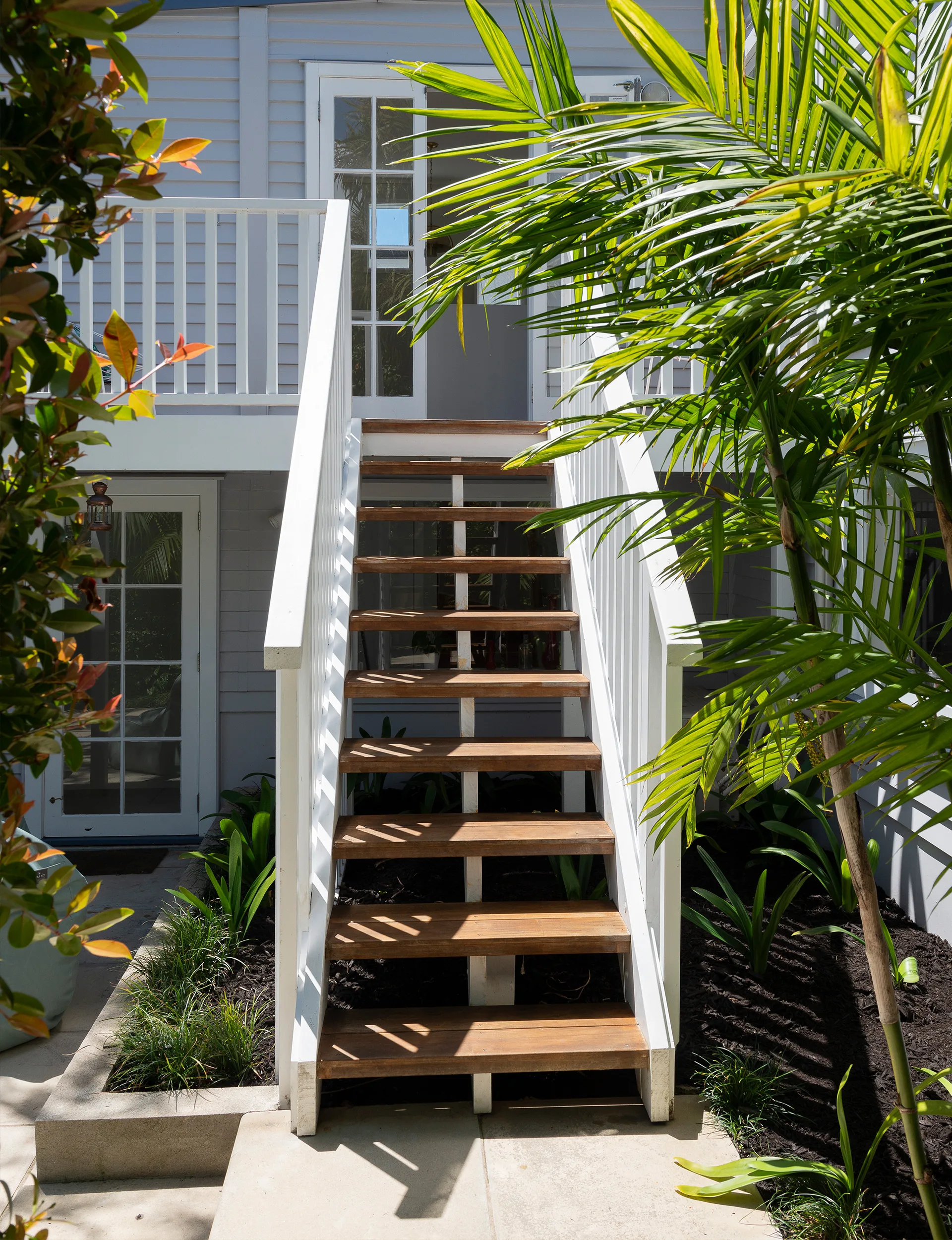 sub-tropical garden