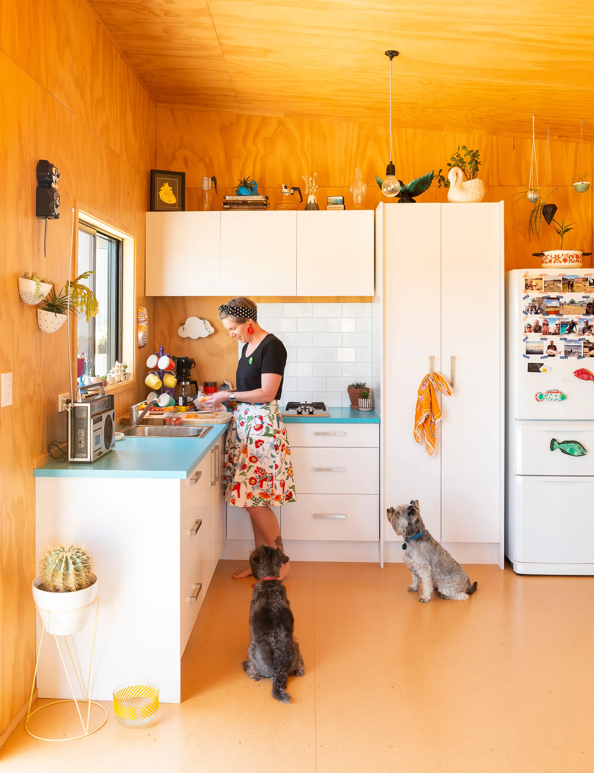 Mangawhai bach kitchen plywood walls