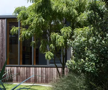 This courtyard garden is a lush oasis for a tightly-packed Wellington home