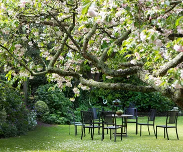 Inside a lush Taranaki garden that brings the whole family together