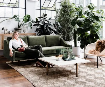 Why indoor trees are the house plant trend to embrace in 2019