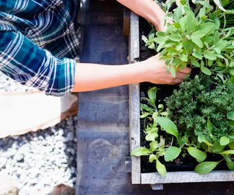 Our gardening expert shares her go-to July gardening checklist