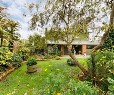 This sun-drenched Awapuni home for sale promises tranquil living