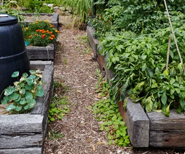 Here’s all you need to know about how to set up a compost bin