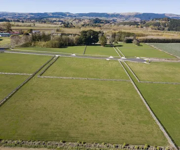 These lifestyle blocks in Aokautere could be the location of your new home