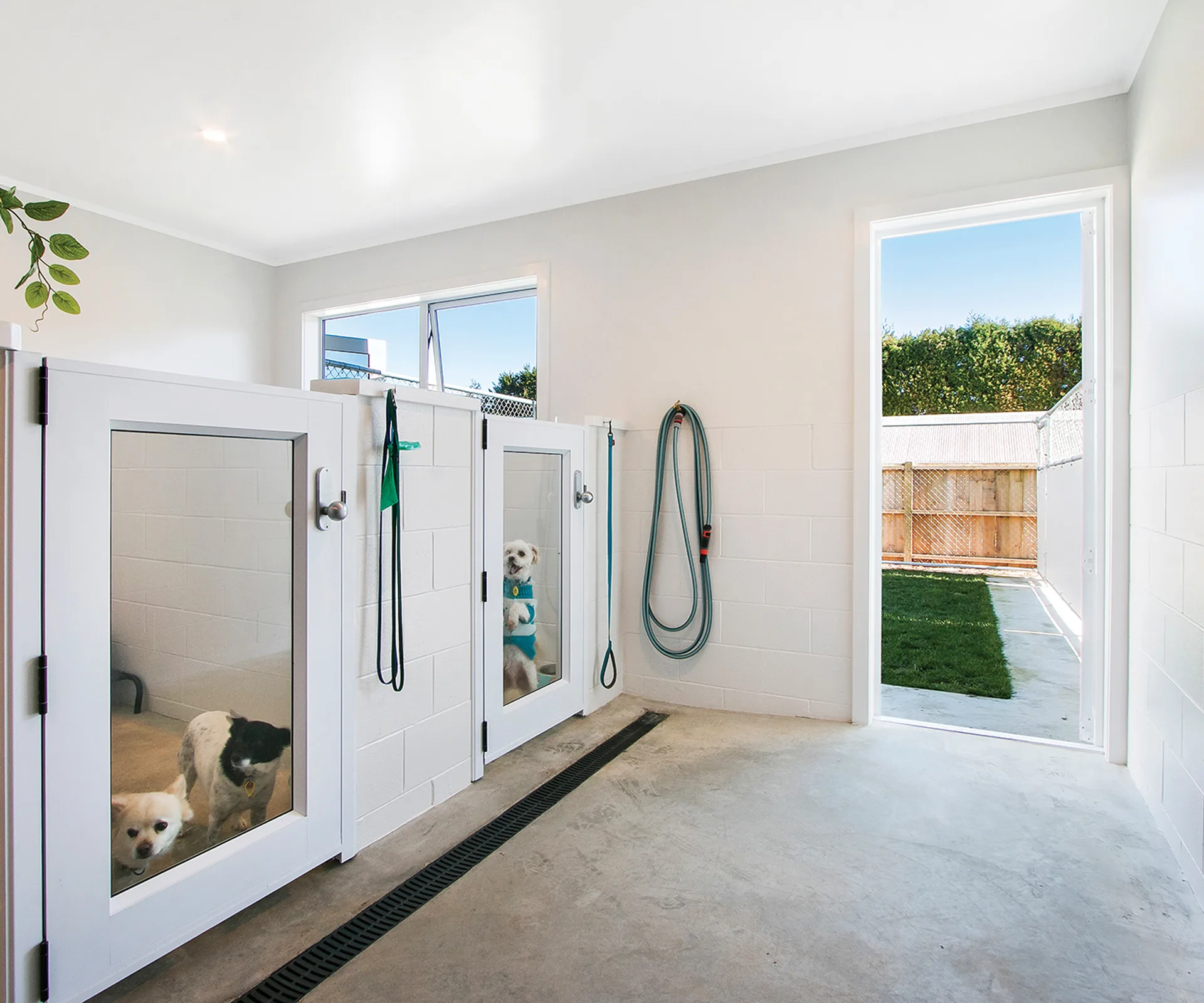 This Waihi property offers a successful business and lifestyle opportunity