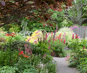 How this bountiful garden has colourful flowers blooming all-year round