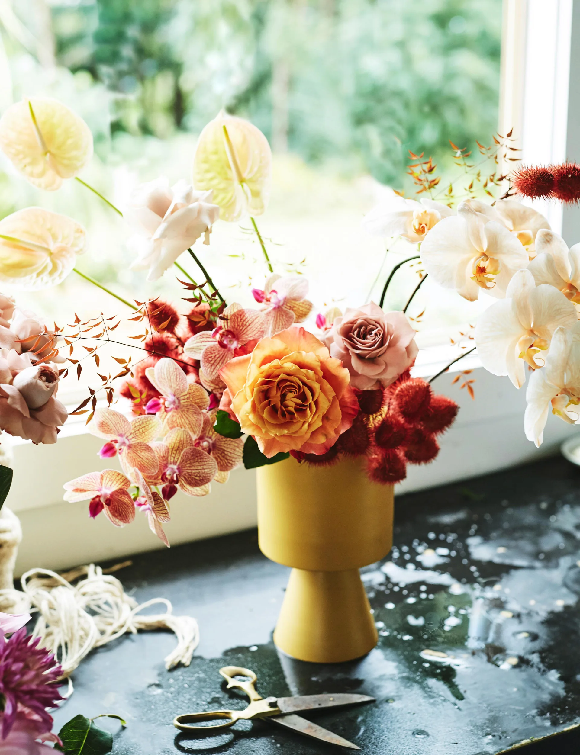 21 top rose varieties to suit all your floral and garden needs