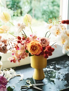 21 top rose varieties to suit all your floral and garden needs